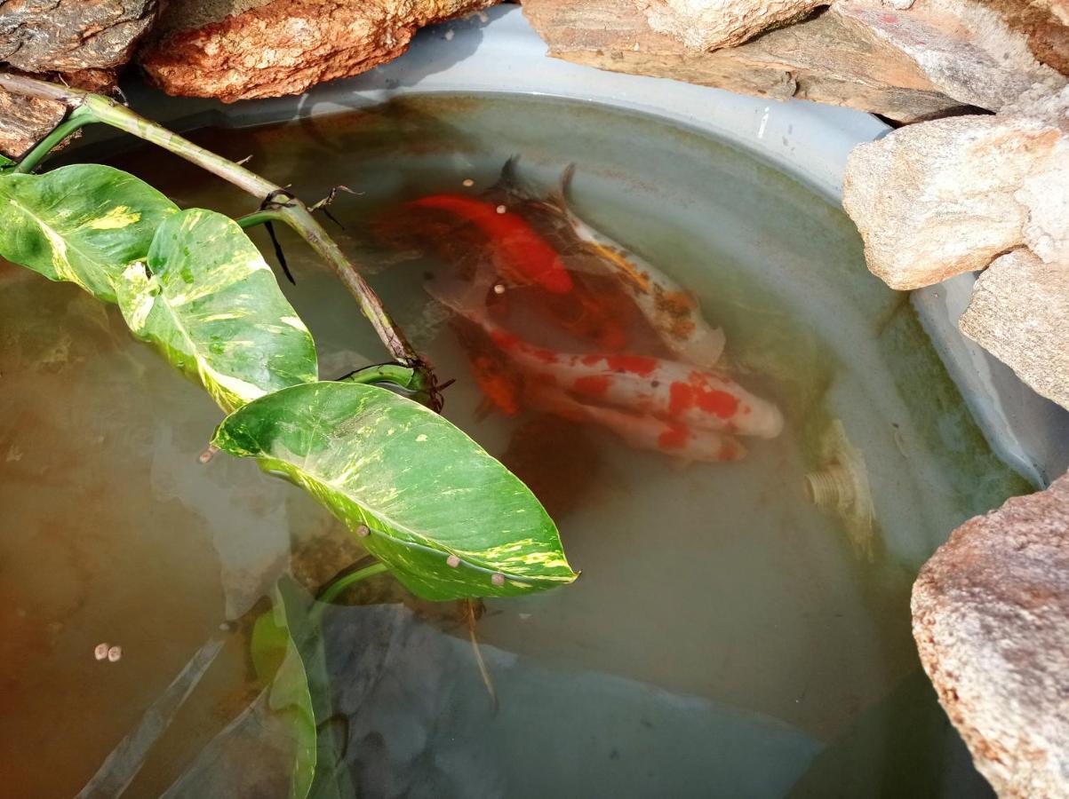 Chacara Recanto Das Pedras Para 8 Pessoas 塞拉内格拉 外观 照片